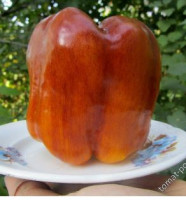 Перец Млечный Путь