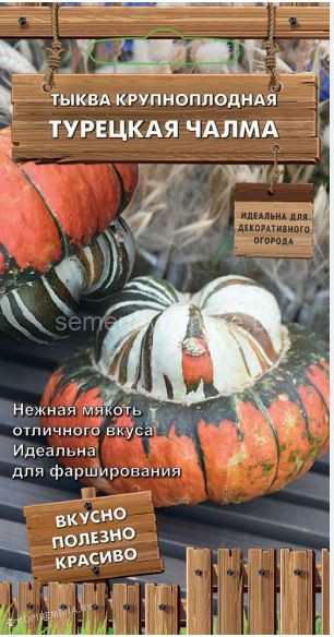 Тыква Турецкий Тюрбан