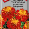 Бархатцы Бой Гармония