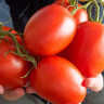 Томат Пинк Плам F1