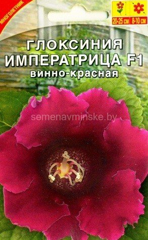 Купить семена почтой Минск