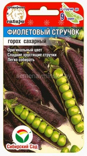 Горох Фиолетовый стручок