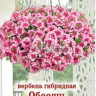 Вербена Обсешн Многоликая Моя