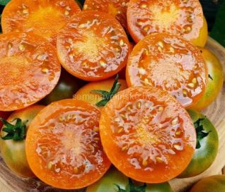 Томат Пожиратель Потех ( Серия Гном )