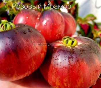 Томат Розовый Мрамор