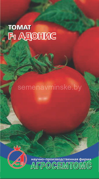 Томат Адонис F1