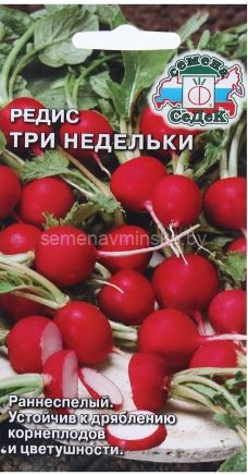 Редис Три Недельки
