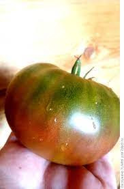 Томат Бурый Медведь