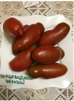 Томат Перцевидный Черный