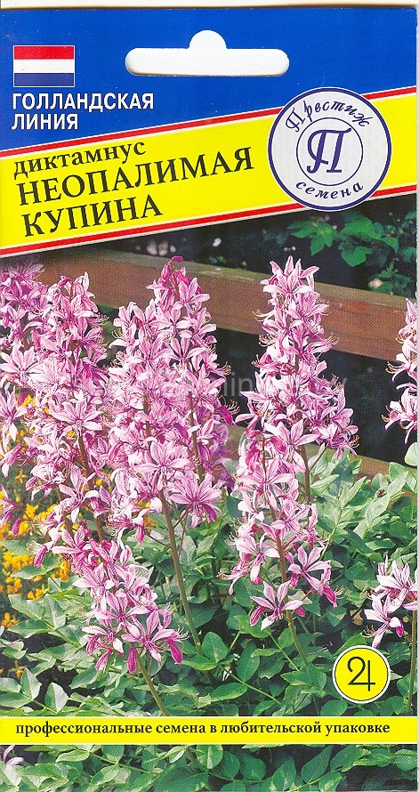 семена цветов купить в минске