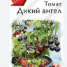 Томат Дикий Ангел ( Аэлита )