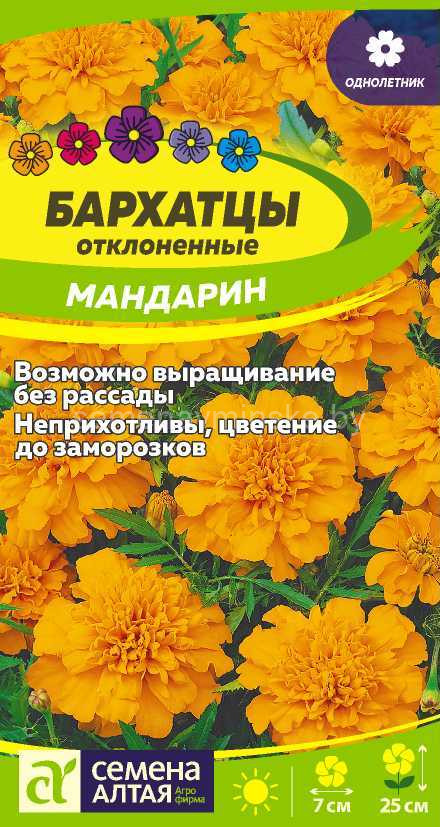 семена цветов купить в минске