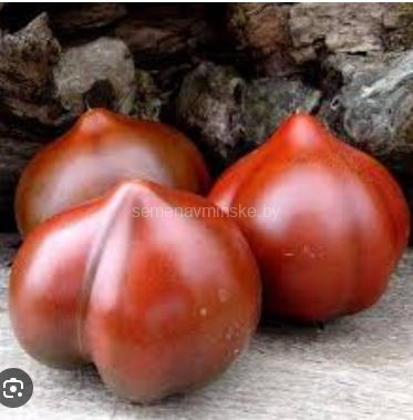 Трюфельное Сердце Нины