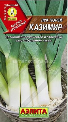 Лук -  порей Казимир