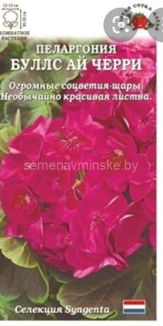 Пеларгония Буллс Ай Черри