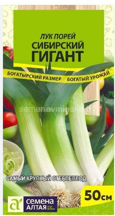 Лук  - порей Сибирский Гигант