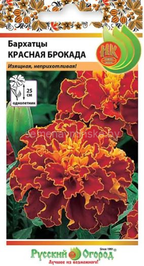 Бархатцы Красная Броккада