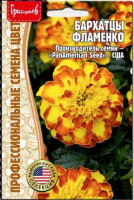 Бархатцы Фламенко