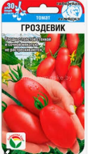 Томат Гроздевик