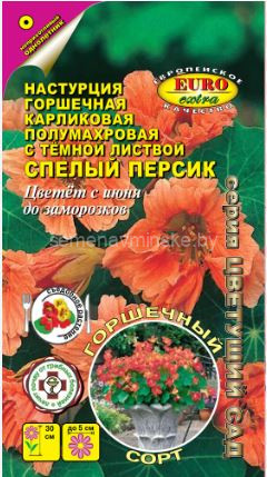 Настурция Спелый Персик