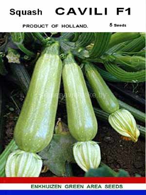 Кабачок Кавили F1
