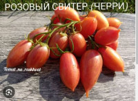 Томат Розовый Свитер