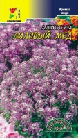 Алиссум Лиловый Мед