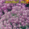 Алиссум Лиловый Мед
