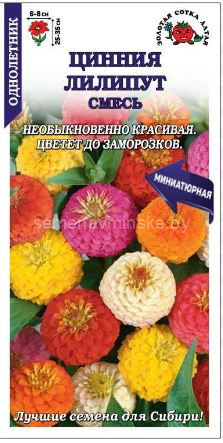 Цинния Лилипут 