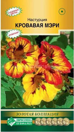 Настурция Кровавая Мэри