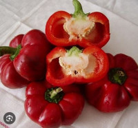 Перец Молдавский Гогошар