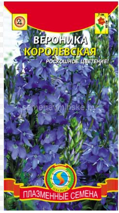Вероника Королевская