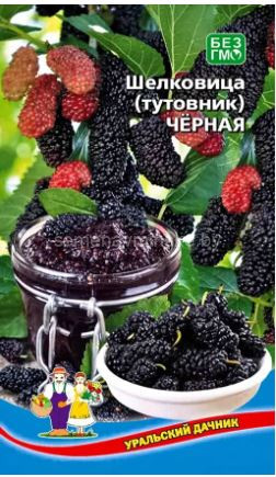 Шелковица ( тутовник ) черная