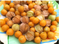 Физалис ягодный  Падающие Вишни тети Молли