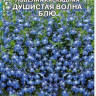Лобелия Душистая Волна Блю