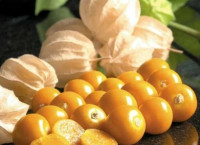 Физалис ягодный Расбхари