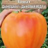 Томат Дынюшка F1