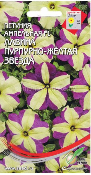 Петуния Лавина Пурпурно - Желтая звезда