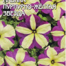 Петуния Лавина Пурпурно - Желтая звезда