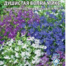 Лобелия Душистая Волна Смесь