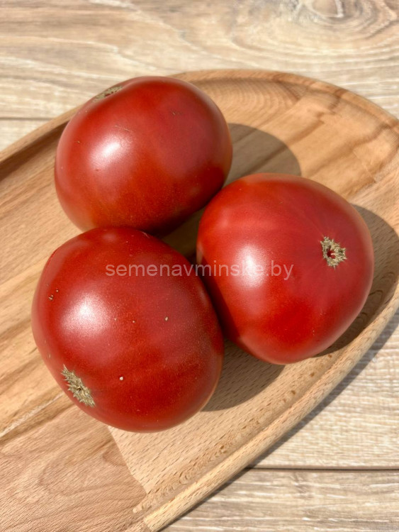 Томат ППИ ( Серия Гном )
