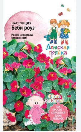 Настурция Беби Роуз