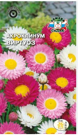 Акроклинум Виртуоз