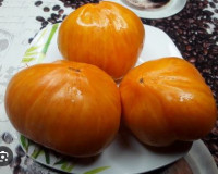 Томат Дынный Ликер