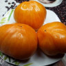 Томат Дынный Ликер