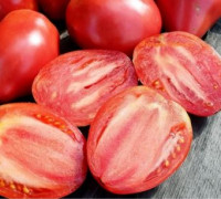 Томат Семейная Реликвия  Канкельмо