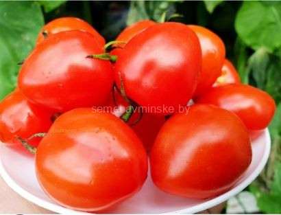 Томат черри Клубничка