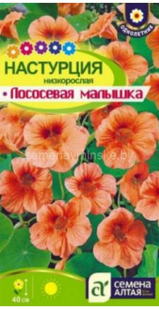 Настурция Лососевая Малышка