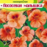 Настурция Лососевая Малышка
