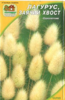 Лагурус Заячий Хвост